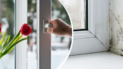 Wanneer moet je je huis luchten om schimmel en condens te voorkomen? Experts geven een helder antwoord