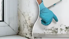 Schimmel verdwijnt voorgoed: één natuurlijk middel doet wonderen, helemaal zonder chemicaliën