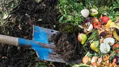 Zo wordt jouw compost een stuk sneller klaar: nuttige tips voor tuinliefhebbers