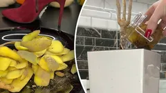Het geheime recept van oma: zo verander je aardappelschillen gemakkelijk in plantenvoeding