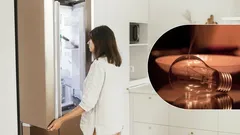 Schommelingen in stroom geen probleem meer: zo bescherm je je koelkast bij stroomuitval