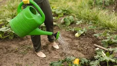 De tuin gaat slapen, maar de plagen niet: deze late najaarsbehandeling stopt ongedierte in hun spoor