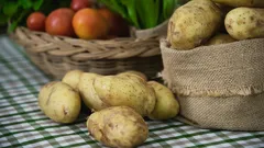 Doe dit op je aardappelen en ze blijven tot de lente goed: een eenvoudige en effectieve bewaarmethode