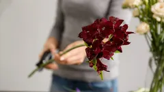 Bloemen in de vaas blijven twee keer zo lang fris: het geheim van de bloemist zal je verrassen